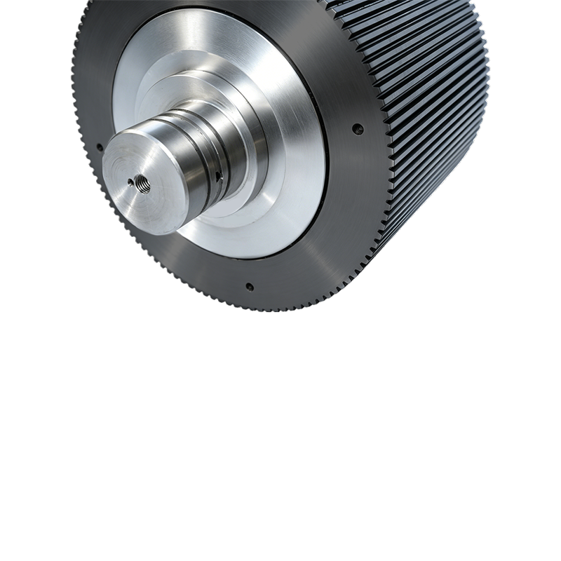 Hoge productiviteit Pellet Mill Reserveonderdelen Ring Matrijs Roller Shell Assembly